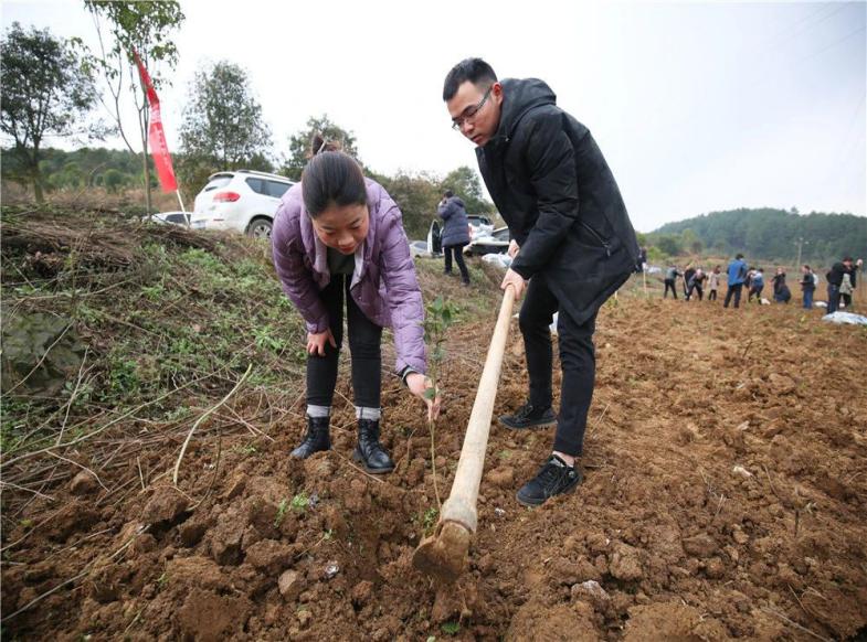 0037ae809564e95778cbaa02e291cd2c