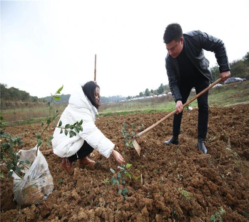 ac097b8d53514f3043d560de90018d05